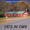 Catsincars CD Purchase